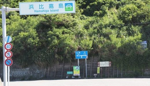 浜比嘉島のシルミチュー