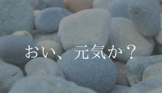 石の声が聞こえるという元クラスメイトの話は本当だったのかもしれない。