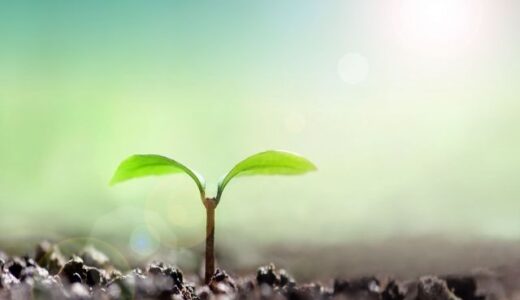 久しぶりの投稿！