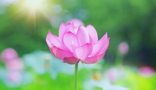 奇門遁甲と生年月日の話