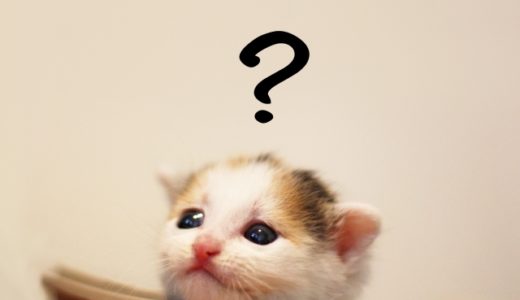 奇門遁甲と九星気学の違いは何だろう？一体どっちが当たるの？